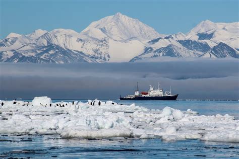 antarctica tours from new zealand